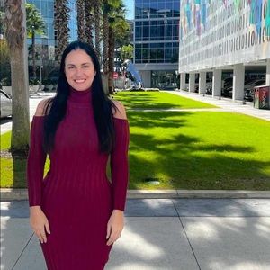 Wine Cold Shoulder Turtleneck Dress